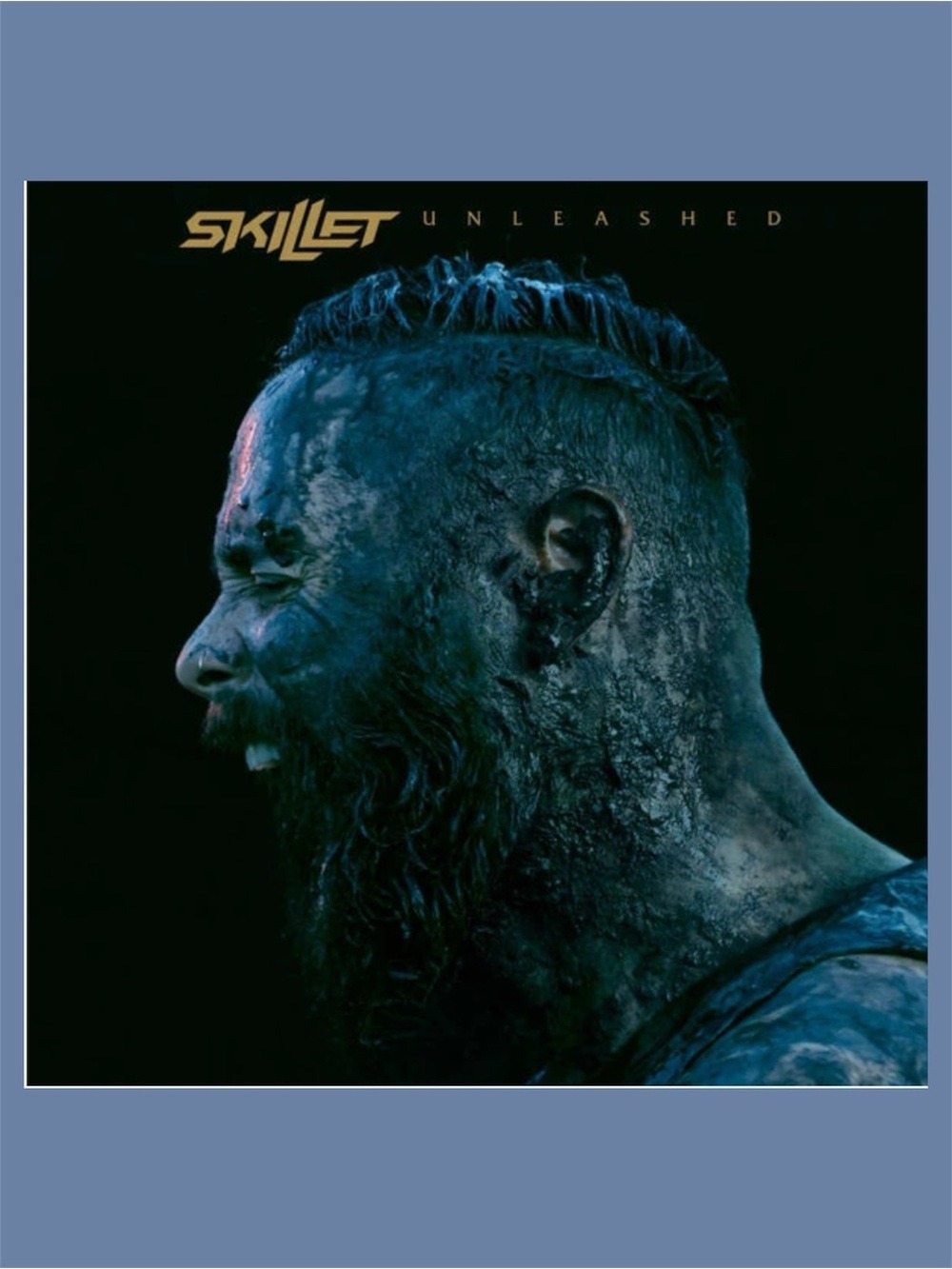 Skillet Unleased Music Cd Home Electronics Media Christian rock skillet band